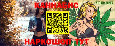 шишки Новокубанск