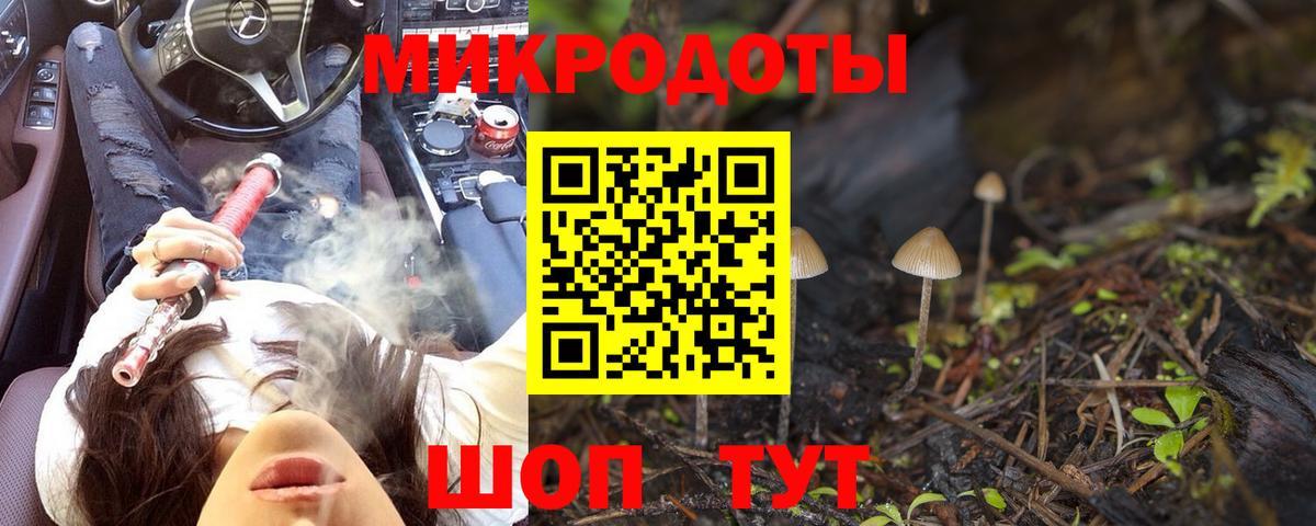 Кореновск  Галлюциногенные грибы Magic Shrooms  Галлюциногенные грибы Psilocybine cubensis  Вход с VPN 